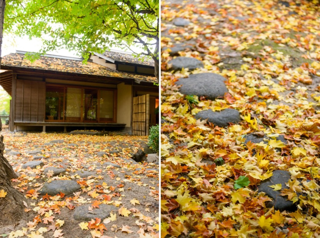 japanese cultural center saginaw mi - fall - 16