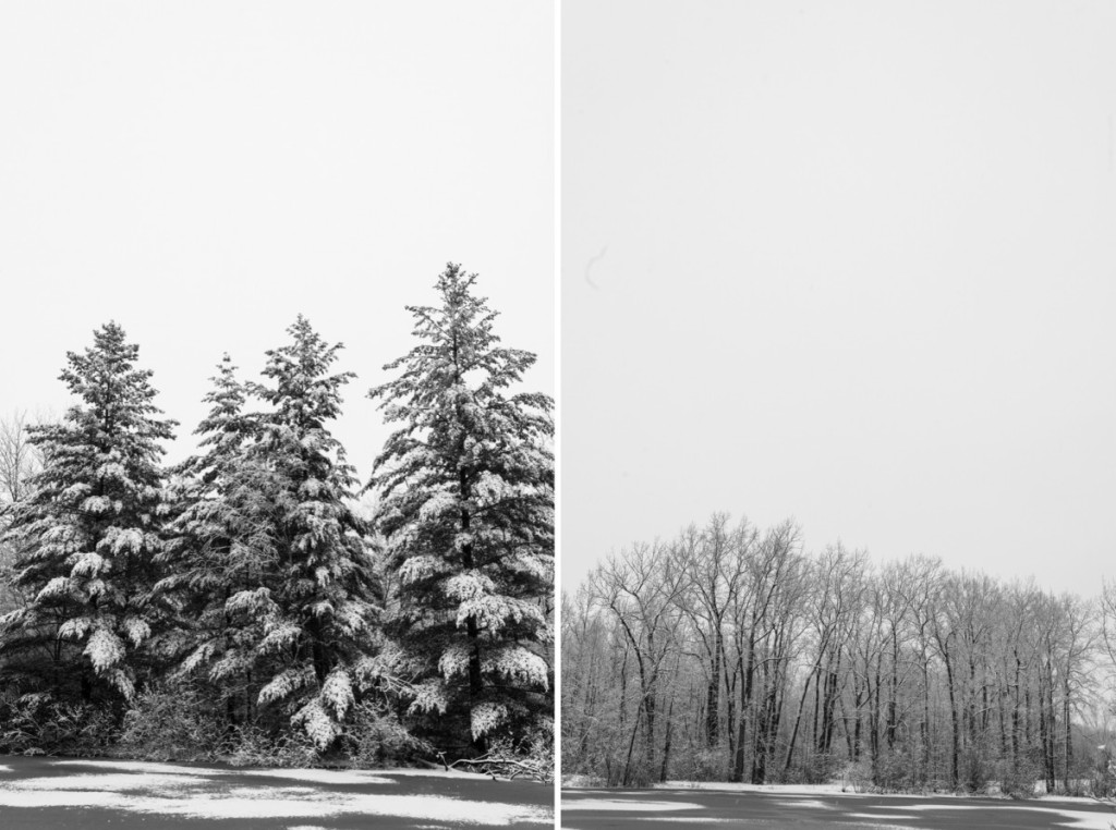 randall wickes park saginaw -102