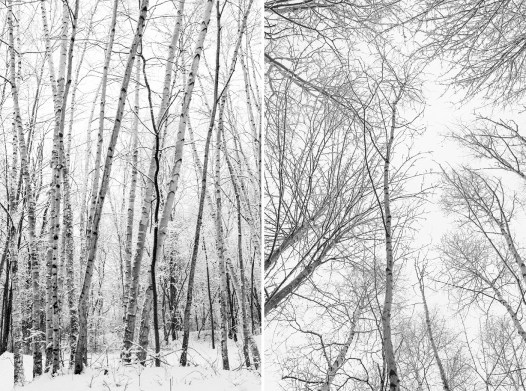 randall wickes park saginaw -103