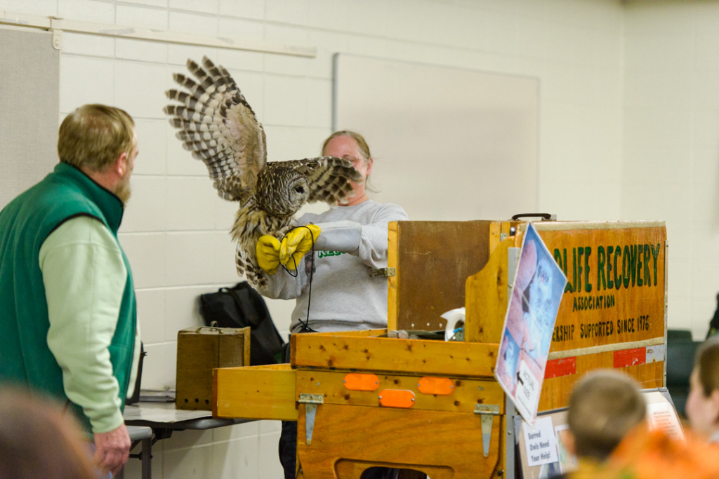 birds of prey saginaw mi -10