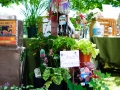 andersen_art_garden-032