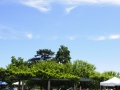 andersen_art_garden-040_7370280978