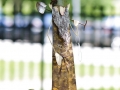 andersen_art_garden-079_7185065673