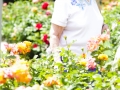 andersen_art_garden-111_7185101901