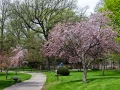 saginaw_happening_Thor_20130504-DSC_4353