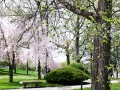saginaw_happening_Thor_20130504-DSC_4372