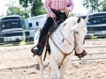 Saginaw County Fair 2013