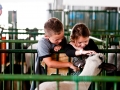 Saginaw County Fair 2013