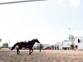 Saginaw County Fair 2013