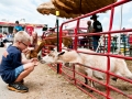 Saginaw County Fair 2013