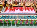 Saginaw County Fair 2013