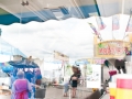 Saginaw County Fair 2013