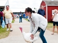 Saginaw County Fair 2013