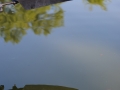 SaginawRowingClub-027_6134134713