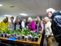 saginawhappening_20140308-DSC_0908
