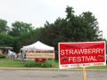 Strawberry_Festival_2011-1_5862102696