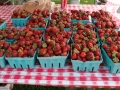Strawberry_Festival_2011-2_5861562069