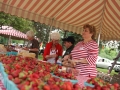 Strawberry_Festival_2011-3_5861570625