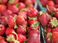 Strawberry_Festival_2011-4_5862129672