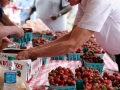 Strawberry_Festival_2011-55_5862496698