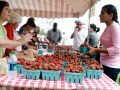 Strawberry_Festival_2011-56_5862503396