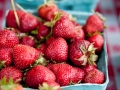 Strawberry_Festival_2011-60_5862532748