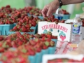 Strawberry_Festival_2011-62_5861992897